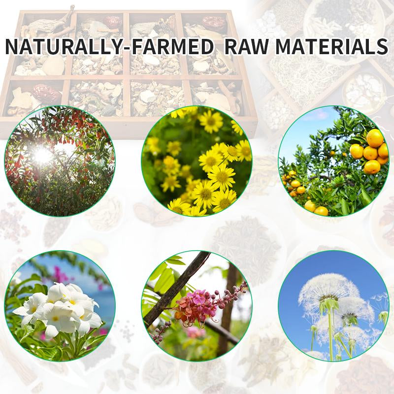 Leafpure Liver Tea - Dandelion Wolfberry Organic Blend of Six Herbal Ingredients 12*10G Daily Detox Beverage Sugar Natural Refreshing Coffee Alternatives