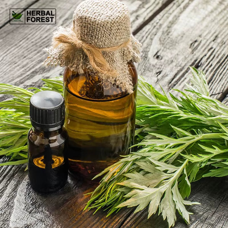 Wormwood Essential Oil Body Massage Oil for Scraping Sauna&Cupping Natural Wormwood without Additives Essential Oil Health Care